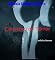 Livro O CONVENTO DO TERROR: Conto
