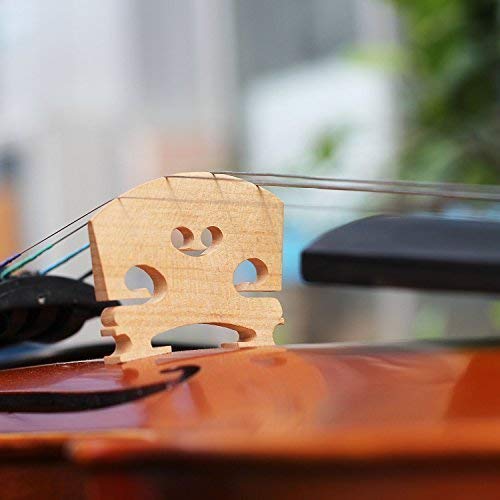 Mugig Violin, Solidwood Ebony Fitted with Hard Case, with Violin Bow, Rosin and Extra Strings, Suitable for Beginners and Students (4/4, Full-size)