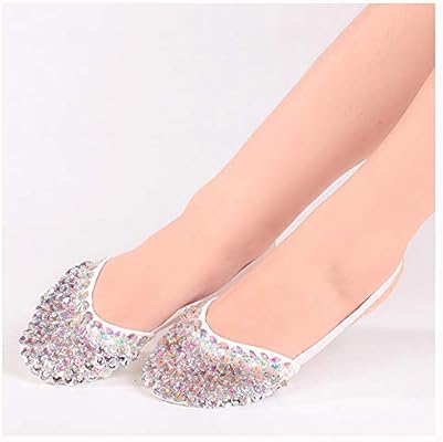 pointe shoe protectors