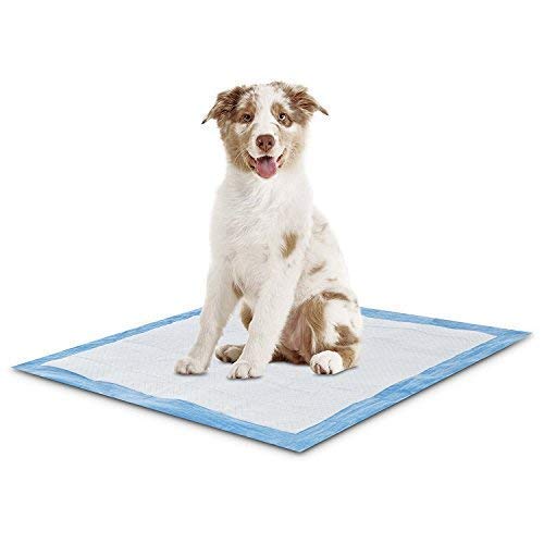 PETSWORLD XL Puppy Training Pads 300 Ct 28x34