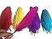 Dxeud Colorful Goose Feathers 100pcs/pack/(10pcs X10colors) (6-8 inch)