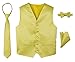 Spring Notion Boys' 4-Piece Satin Tuxedo Vest Set