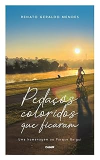 Livro Pedaços coloridos que ficaram