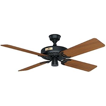 Hunter Indoor Outdoor Ceiling Fan With Pull Chain Control