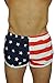 Men's American Flag and Nylon Swimwear Running Shorts