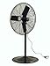 Air King 9130 30-Inch 1/4-Horsepower Industrial Grade Pedestal Fan with 7,400-CFM, Black Finish