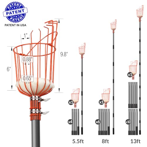 Walensee 13FT Fruit Picker Pole with Basket, 35-158 Inch Adjustable Mango Picker Tool, Stainless Steel Telescoping Cherry Picker for Tree, Apple Pear Lemon Orange Avocado Picking