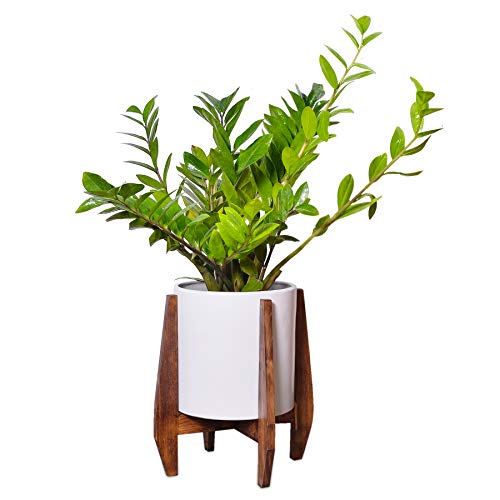 Plant Stand Mid Century Wood, Flower Pot Holder Display, Potted Rack Rustic Decor, Up to 10 Inch Planter (Planter NOT Included), Brown – Dark Walnut