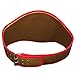 Title Boxing Flash Title Belt, Gold