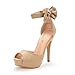 DREAM PAIRS Women's SWAN-08 Ankle Strap Heel Pump Shoes Sandals