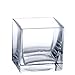 CYS EXCEL Cube Vase, Crystal Clear Glass Vase, Cube Glass Vase (Pack of 6PCS), Multiple Size Available … (Cubic:4