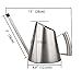 IMEEA Watering Can Indoor SUS304 Stainless Steel Watering Can for Indoor House Plants Long Spout, 30oz / 900ml