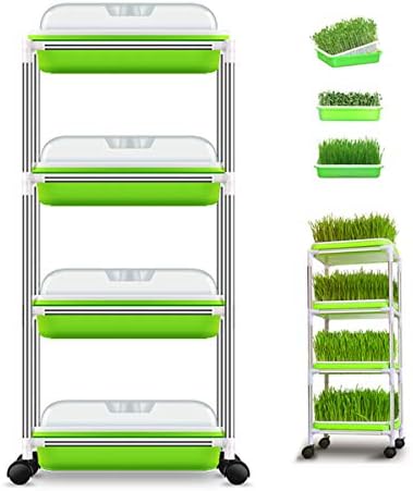 DreamU 4pcs Seed Sprouter Tray with Lid BPA Free Bean Sprout Grower with 4 Layers