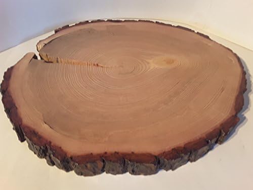 15" by 17" Pine tree slice, Rustic home or event décor, Cake stand, Centerpiece, Display stand, Plant Holder