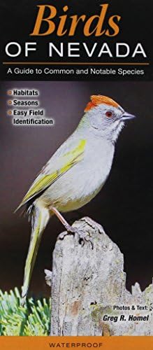 Birds of Nevada