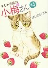 キジトラ猫の小梅さん 第14巻