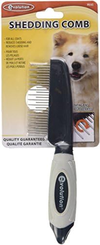evolution dog brush