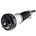Air Suspension Strut for Mercedes Benz S430 S500 S600 S55AMG 2000-2001(WITHOUT ABC&4Matic) Front Air Shock 2203202438