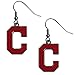 Siskiyou Sports MLB Dangle Earrings