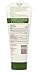 Aveeno Daily Moisturizing Body Lotion with Soothing Oat and Rich Emollients to Nourish Dry Skin, Fragrance-Free, 8 fl. oz (Pack of 6)