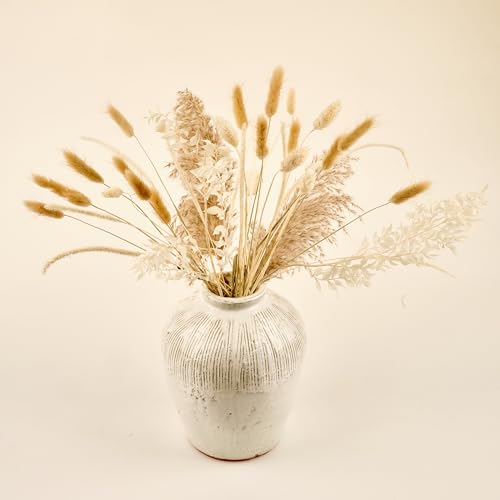 Günstige Gelegenheit! Hol dir Meine Orangerie Pampasgras Parent jetzt für 12,90€ im Angebot. Jetzt entdecken!