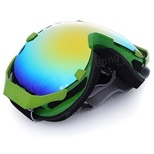 Pink Lizard Outdoor Motorcycle Ski Goggles Spherical Dual Lens Snowboard Polarized Glasses