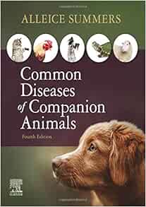 Common Diseases Of Companion Animals