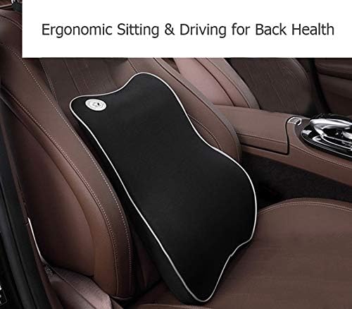 Ergoneer Lumbar Support Back Cushion for Car Seat, Memory Foam Lumbar Cushion Provides Comfortable Relaxing Trip and Office Work (Black)