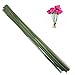 Arlai Pack of 50, Diameter 2mm Dark Green Paper Wrapped Floral stem Wire 16 Inch Floral Stem Wire - DIY Bouquet Stem Wrapping and Crafts