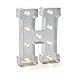 Darice Marquee Letters - H - Galvanized Silver - 9.875