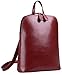 HESHE Women's Fashion Backpack Purse Multipurpose Design Convertible Satchel Handbags Shoulder Bag Travel bag (Wine-R)