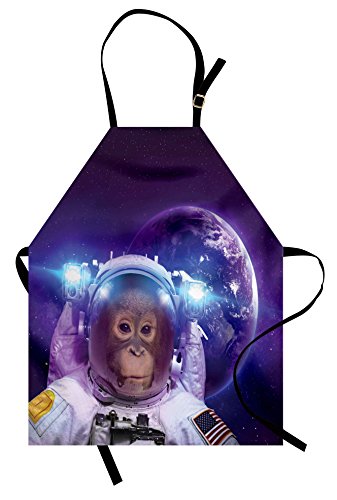 Ambesonne Quality Print Water Resistant Apron