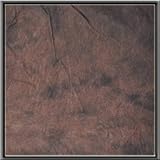 CowboyStudio 100-Percent Cotton Hand Painted 10 X 12 Feet Tie Dye Deep Brown Muslin Photo Background Backdrop