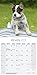 Australian Cattle Dog Calendar - Dog Breed Calendars - 2017 - 2018 wall Calendars - 16 Month by Avonside