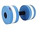 Water Barbells Dumbells,Eamber Aqua Fitness Barbells Exercise Hand Bars,Set of 2 Foam Dumbbells (Blue)
