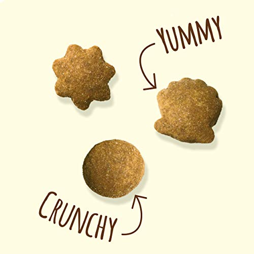 Purina Friskies Natural Cat Treats, Party Mix Natural Yums With Wild