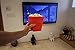 Microwave Popcorn Popper by MrLifeHack - BPA FREE Silicone Popcorn Maker - Makes Healthy Hot Air Popped Popcorn in 2 minutes - Dishwasher Safe, Red