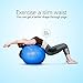 CPOKOH Exercise Ball Anti-Burst Non-Slip Extra Thick Massage Fitness Ball for Yoga,Pilates,Workout, Balance, Therapy, Desk Chair with Foot Pump (Gray, 65cm) (Blue, 75cm)