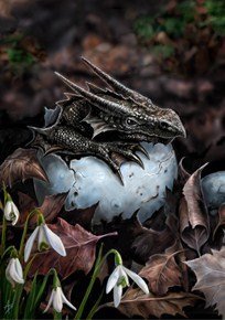 Hatchling - Greeting Card by Anne Stokes
