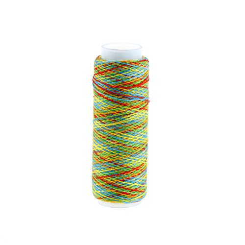 DINGJIN 10 Pcs Rainbow Color Sewing Thread DIY Embroidery Sewing Yarn Knitting Thread (Each 120 Yards)