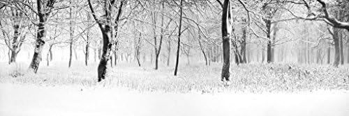 Wintery Dream - Canvas Photography Print - 60 x 20in. 5 Ft. Wide, Frameless Canvas Print Wall Art, Ready to Hang. Modern Wall Decor, Contemporary Art, Modern Art Print
