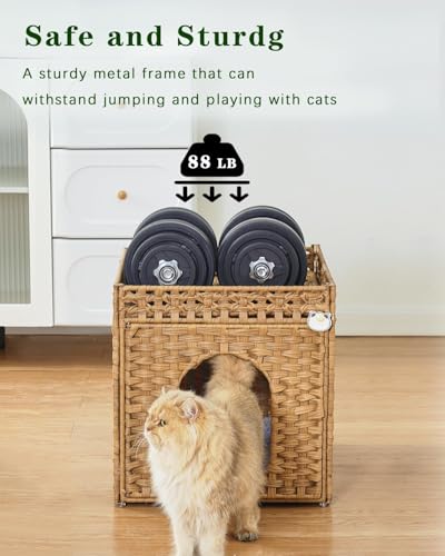 NIUB Cat Litter Box Enclosure Furniture, Hidden Litter Box with Mat and Fence, Handwoven Rattan Cat House with Two S-Shaped Hooks for Living Room, Bedroom, 18.5 x 20.5 x 19.1 Inches