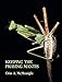Keeping the Praying Mantis: Mantodean Captive Biology, Reproduction, and Husbandry by 