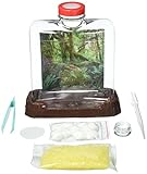 TEDCO Ant City Kit