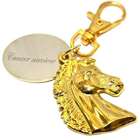 Cancer Survivor Personalised Horses Head Keyring/Handbag Charm in Gift Pouch - LT117