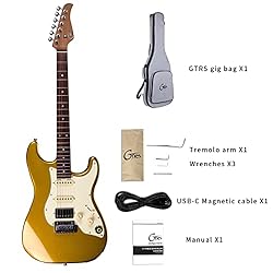 GTRS S800 Electric Guitar Kit Rosewood Fretboard