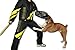 DT Scratch Jacket with Attachable Long Sleeve, Black/Yellow, XX-Large (Size: 46-Inch)