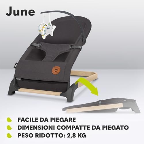 June Sdraietta Dondolo Pieghevole dalla Nascita a 9 kg