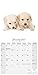 Golden Retriever Calendar - Calendar Golden Retriever - Golden Retrievers Calendar - Dog Breed Calendars 2017 - Dog Calendar - Calendars 2016 - 2017 wall calendars - 16 Mth Calendar by Avonside Studio