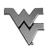 FANMATS 14944 West Virginia Mountaineers 3D Chrome Metal Auto Emblem
